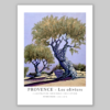 affiche Provence les oliviers illustration